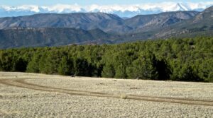 Property photo for land for sale in Fremont County Colorado