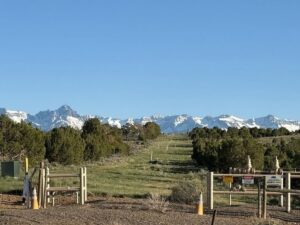 Property photo for land for sale in Ouray County Colorado