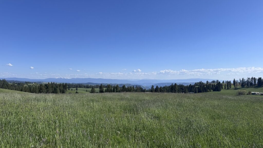eacd034b-a764-4853-bc3a-7c41885789db.jpg