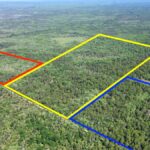 Property photo for land for sale in Levy County Florida