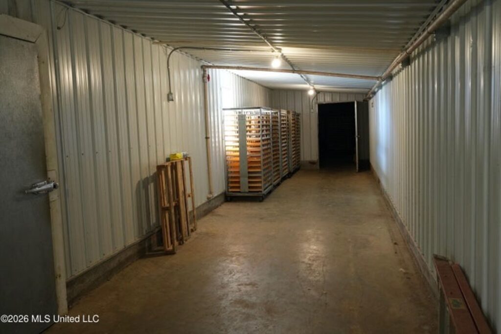 eb5305f2-ab86-4ebd-a902-304abba077be.jpg