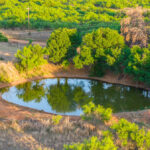 Property photo for land for sale in Dickens County Texas