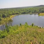 Property photo for land for sale in Perry County Alabama