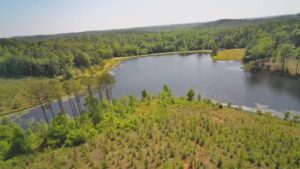 Property photo for land for sale in Perry County Alabama
