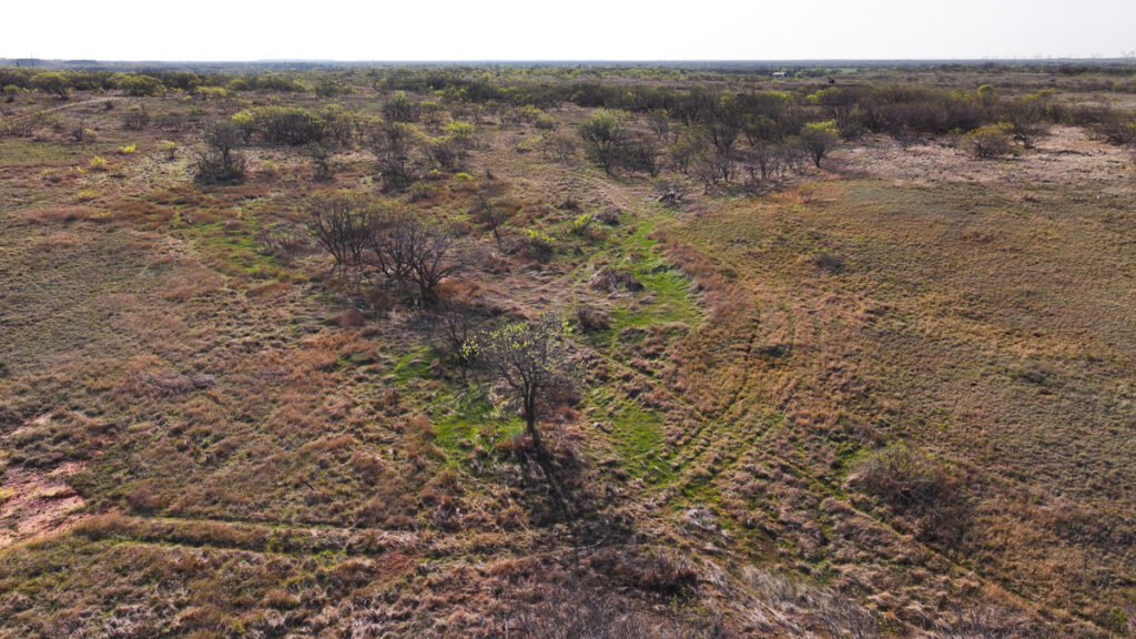 ec69ea3d-afca-4df7-b9b0-60546906557c.jpg