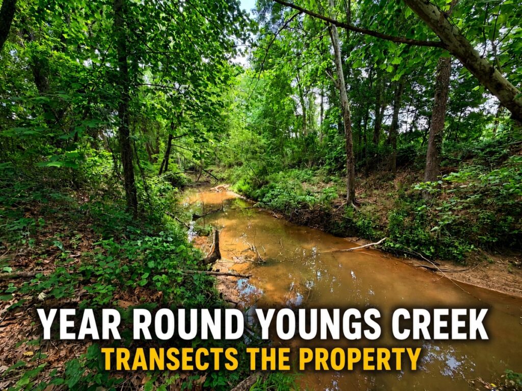Property photo for land for sale in Prentiss County Mississippi