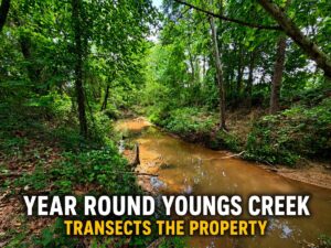 Property photo for land for sale in Prentiss County Mississippi