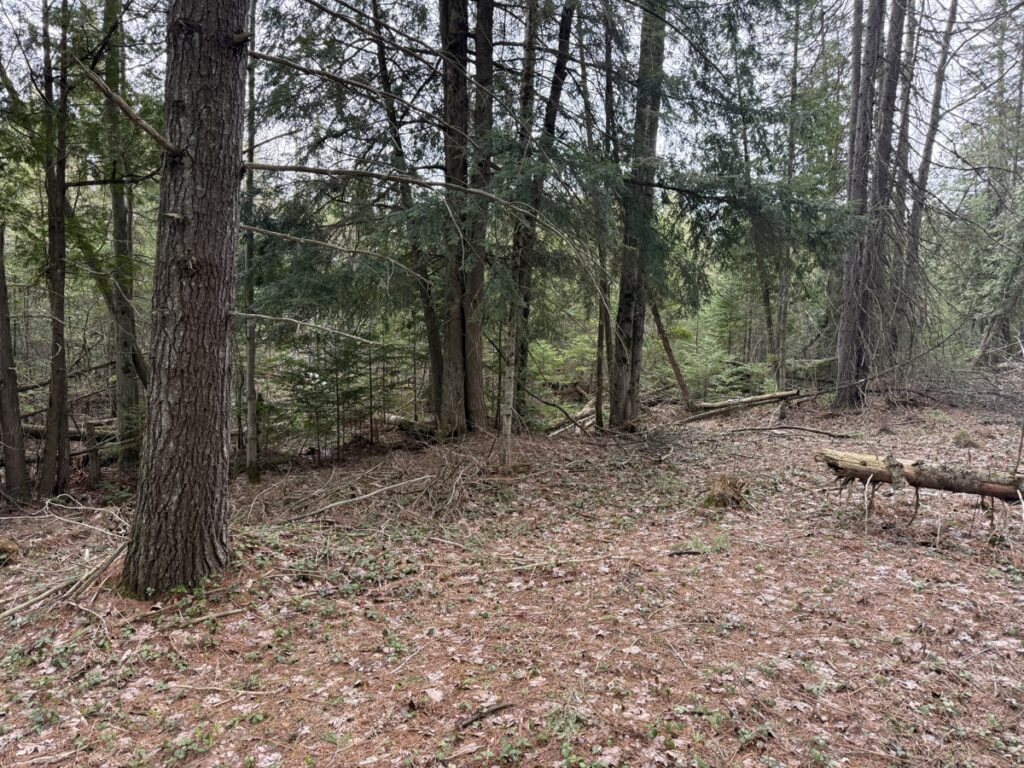Property photo for land for sale in Kalkaska County Michigan