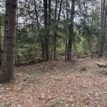 Property photo for land for sale in Kalkaska County Michigan