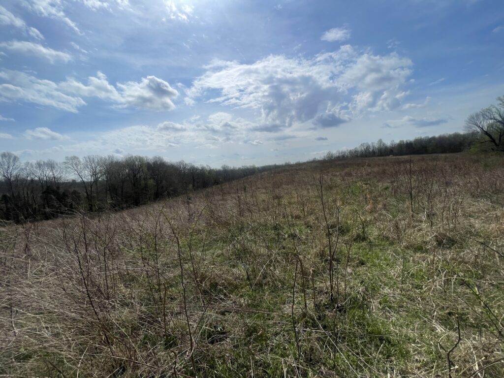 ed9b3044-2404-49bf-b9d6-e5c60a81694b.jpg