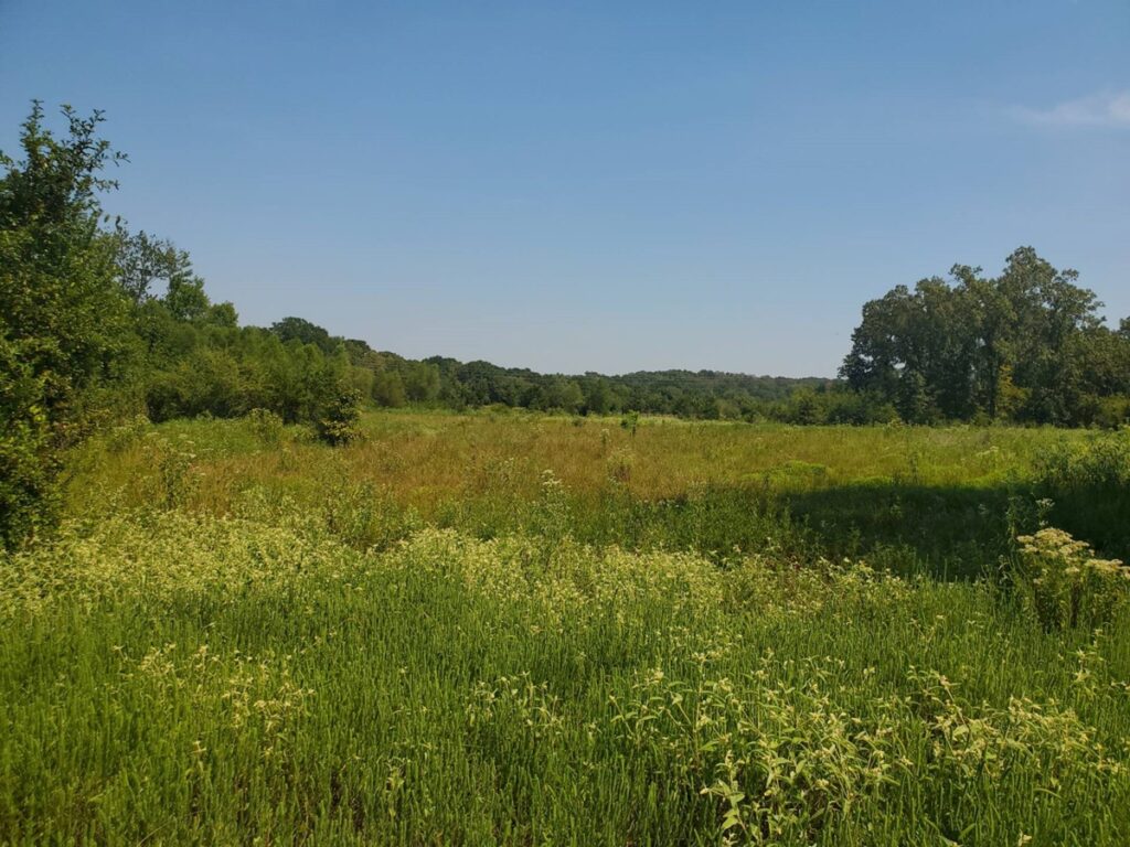 ede9bd60-9071-4996-94fb-93fa7020964e.jpg