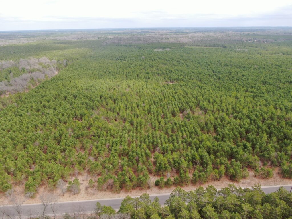 eedce192-f58e-4f56-8eca-c9fff889de4d.jpg
