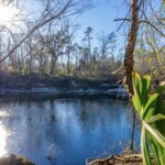 Property photo for land for sale in Hamilton County Florida