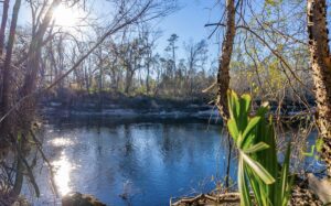 Property photo for land for sale in Hamilton County Florida