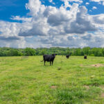 Property photo for land for sale in Hot Spring County Arkansas