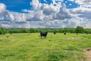Property photo for land for sale in Hot Spring County Arkansas