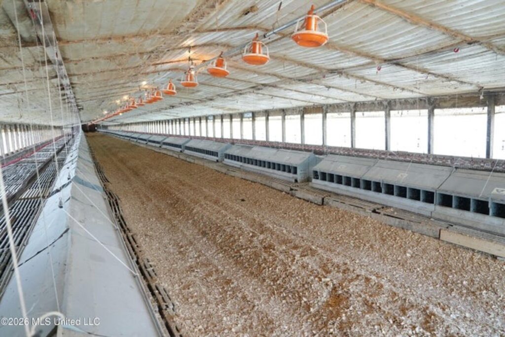 ef5007f0-ab98-425e-8ba8-9bd5340a8142.jpg