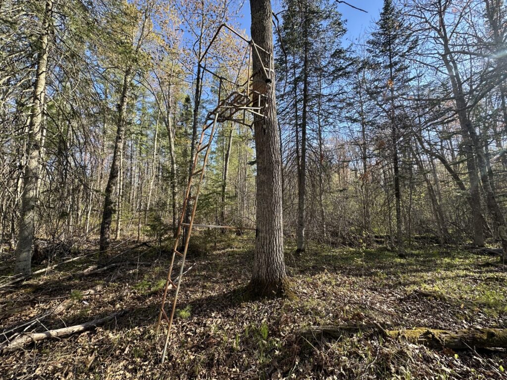 f1375ac0-c6ea-470c-b050-6d6574997e05.jpg
