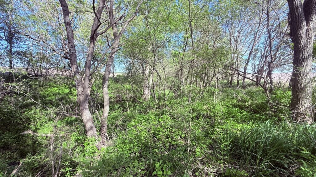 f35d1703-0625-41be-aac0-1b491169b879.jpg
