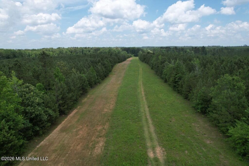 Property photo for land for sale in St. Helena County Louisiana