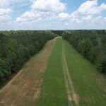 Property photo for land for sale in St. Helena County Louisiana