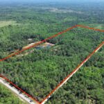 Property photo for land for sale in Levy County Florida
