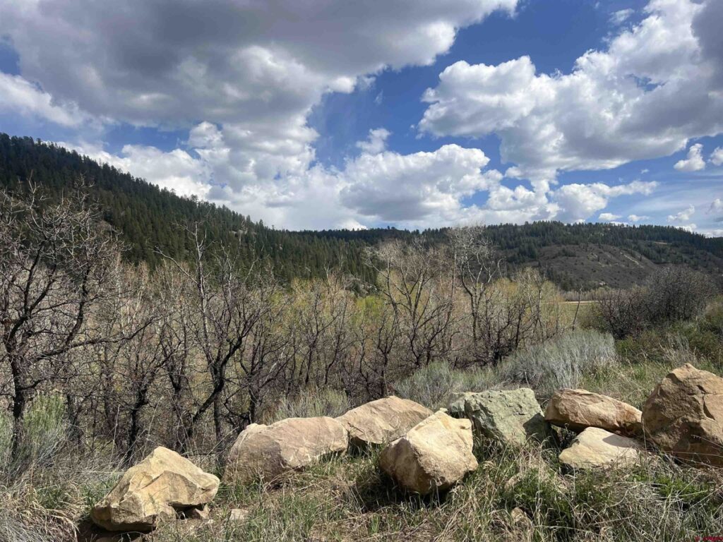 Property photo for land for sale in Montezuma County Colorado