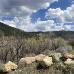 Property photo for land for sale in Montezuma County Colorado