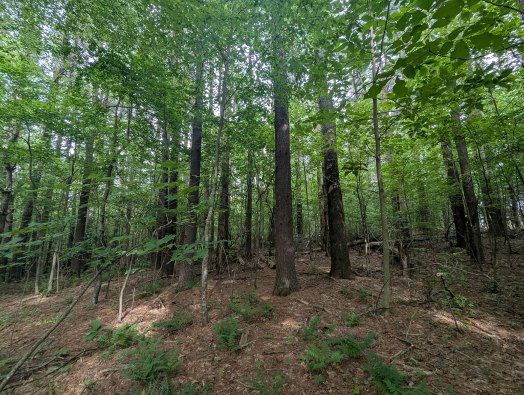 f6b914b0-73e5-4d0b-846c-bedcf908a8fc.jpg