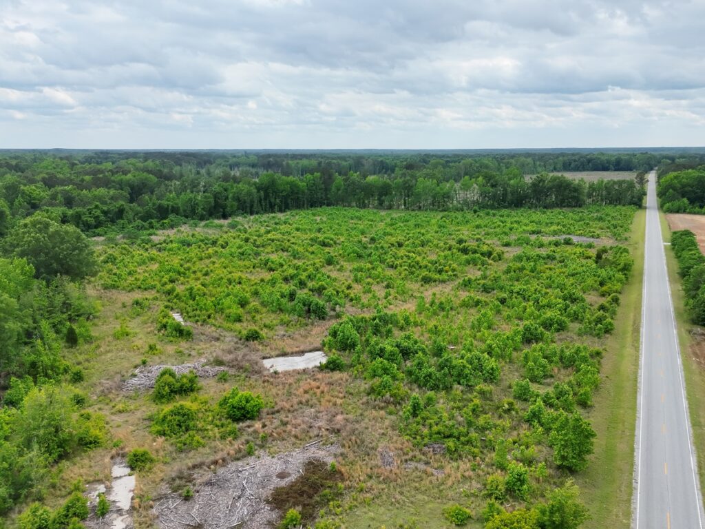 Property photo for land for sale in Bamberg County South Carolina