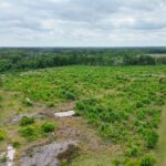 Property photo for land for sale in Bamberg County South Carolina
