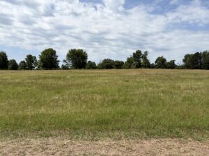 Property photo for land for sale in Upshur County Texas