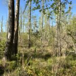 Property photo for land for sale in Columbia County Arkansas