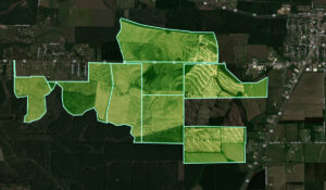 Property photo for land for sale in Allen County Louisiana