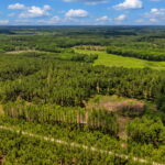 Property photo for land for sale in Levy County Florida