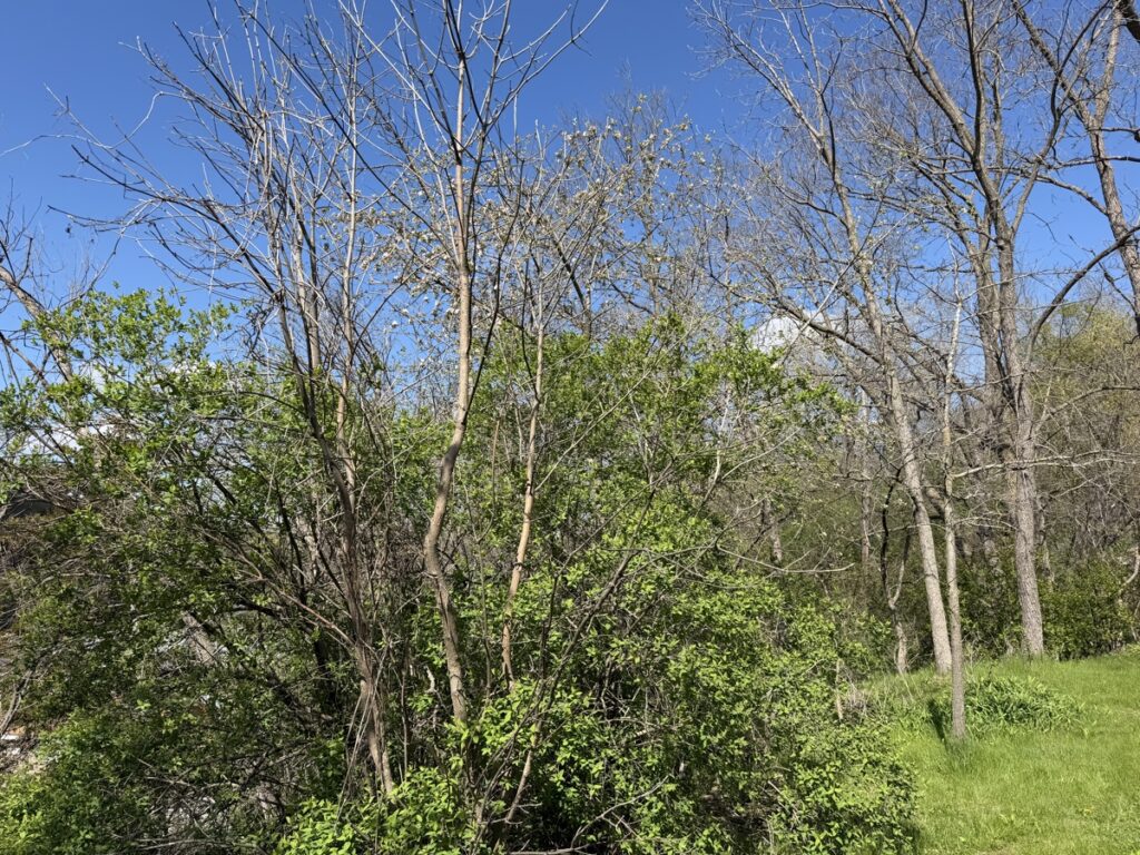 f9a0f7c7-bce5-4909-8047-17f9136bcec7.jpg