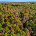 Property photo for land for sale in Ozark County Missouri