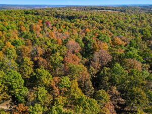 Property photo for land for sale in Ozark County Missouri