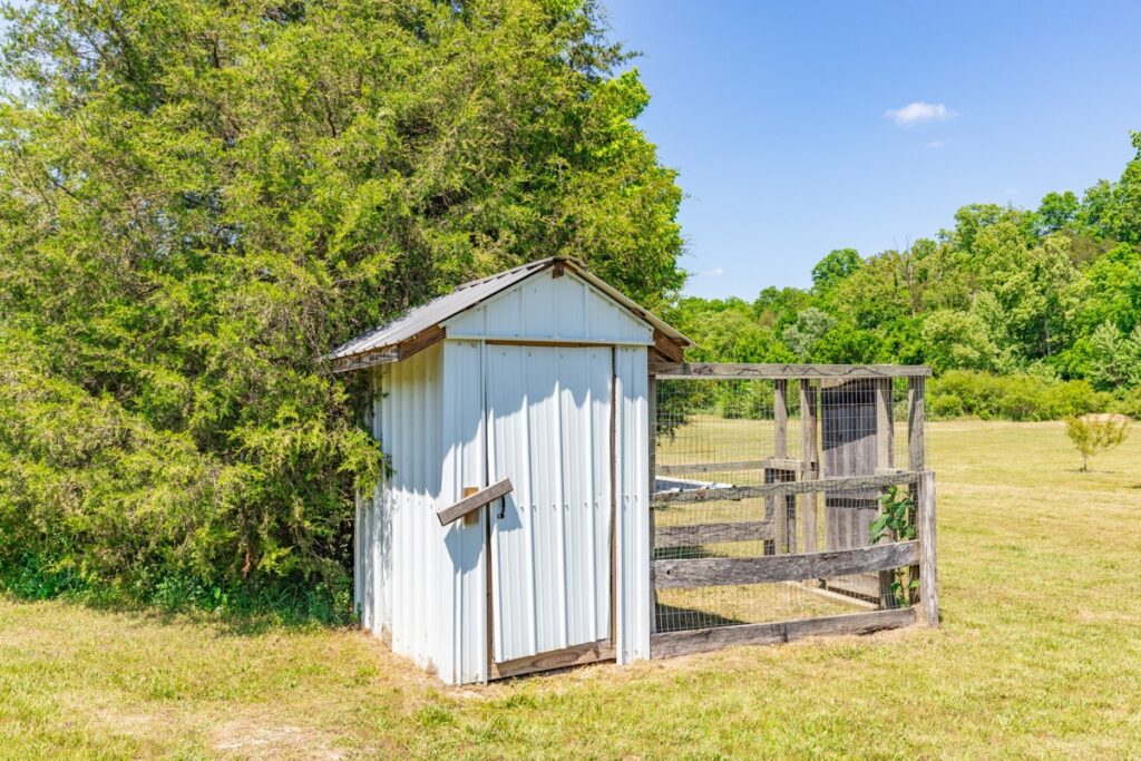 fad3c5e8-1961-44e2-b5b9-f0b5c8e81505.jpg