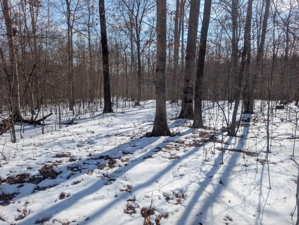 fc5e0640-5871-4d39-bd6d-06d275249264.jpg