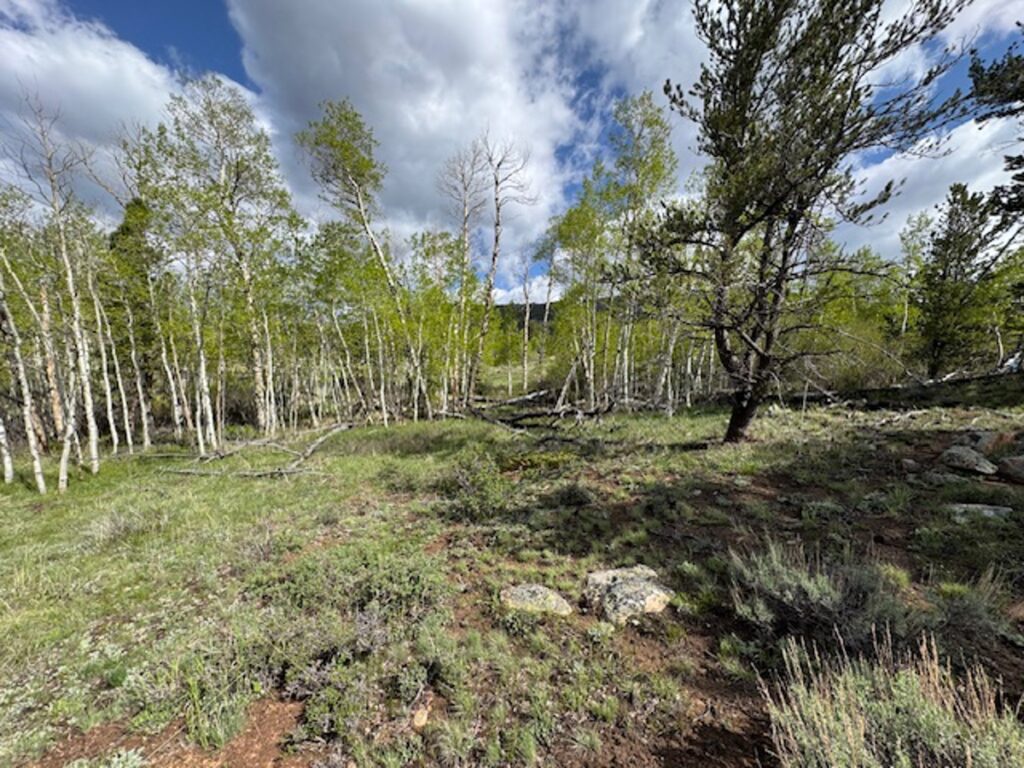 Property photo for land for sale in Larimer County Colorado
