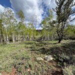 Property photo for land for sale in Larimer County Colorado