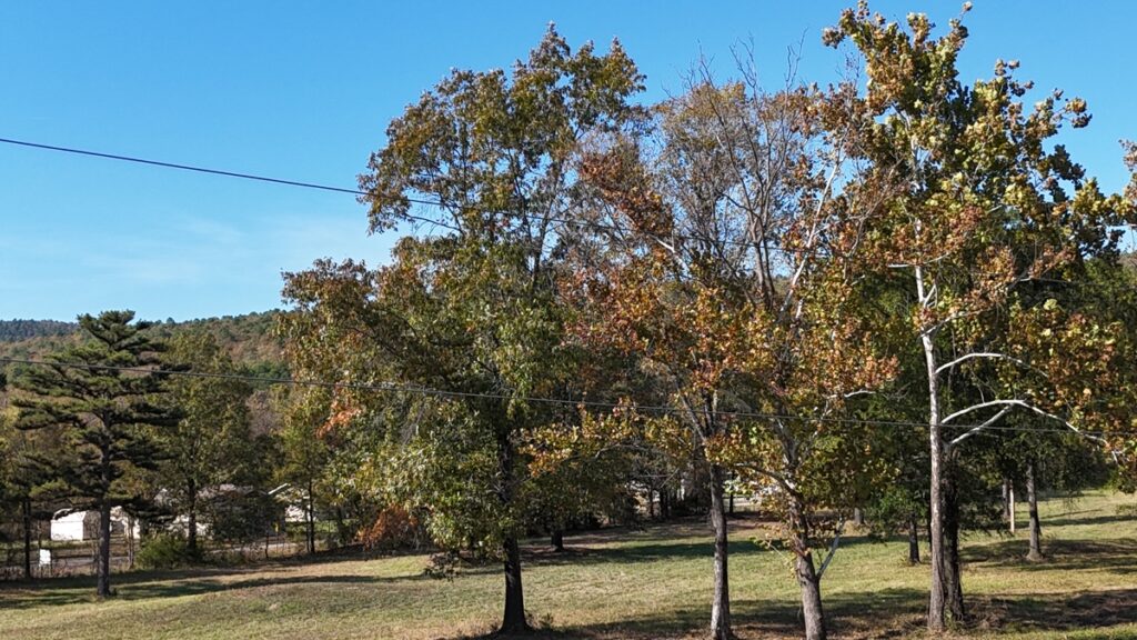 fcca8c14-bf06-4677-ab19-4da41dec04bd.jpg