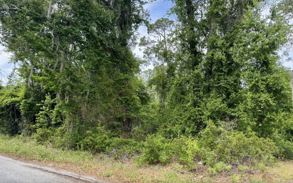 Property photo for land for sale in Hamilton County Florida