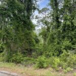 Property photo for land for sale in Hamilton County Florida