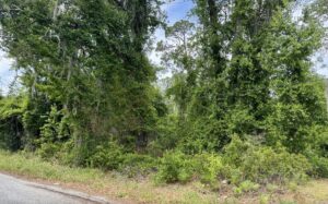 Property photo for land for sale in Hamilton County Florida