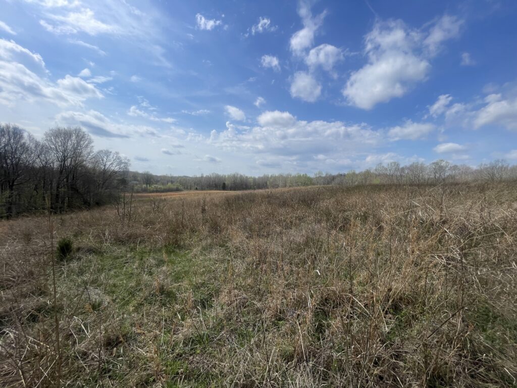 fec594f2-7212-4c67-805d-8b07b814668e.jpg