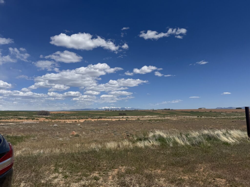feeabdd6-2070-482f-a97a-de327afacbca.jpg