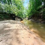Property photo for land for sale in Prentiss County Mississippi