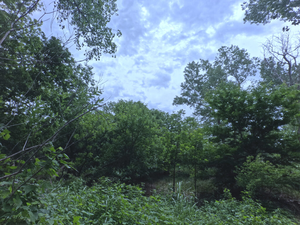 ffdf2591-fdbe-4f0c-9605-15bf130afa7c.jpg